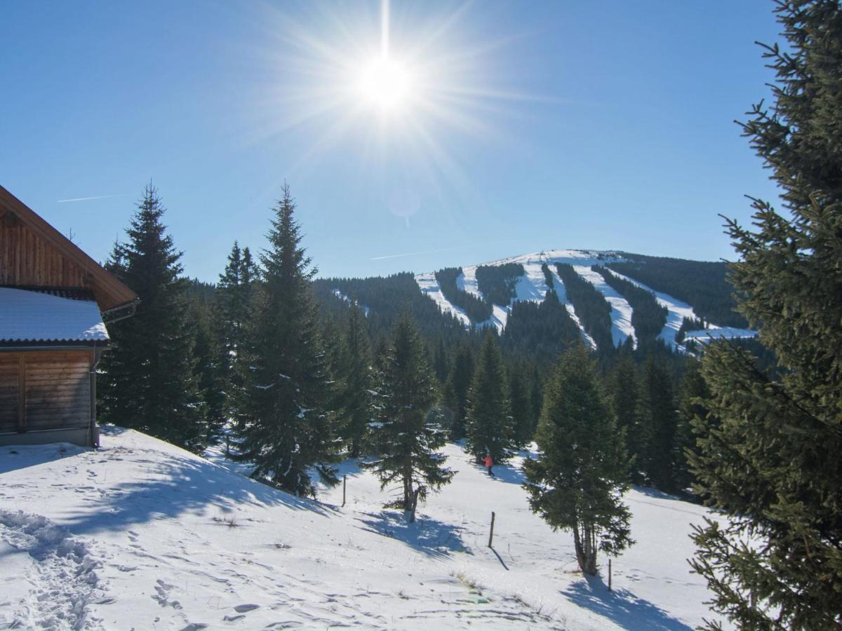 Beautiful Holiday Home In Weinebene With Sauna Obergösel Buitenkant foto